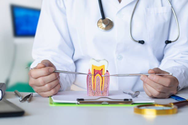 Best Emergency Treatment for Dental Infections or Abscesses in Galax, VA